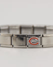 Chicago Bears / silver