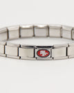 San Francisco 49ers / silver
