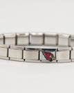 Arizona Cardinals / silver