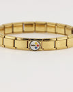 Pittsburgh Steelers / gold