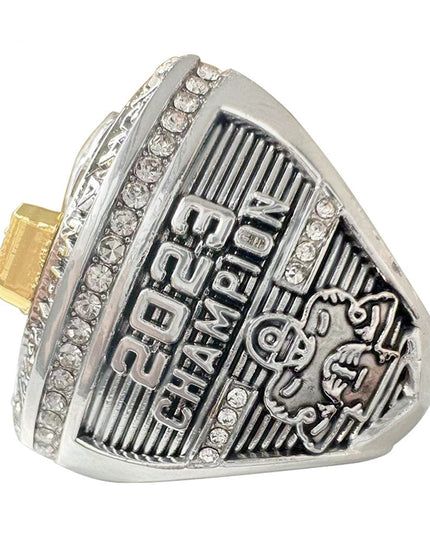 2023 Fantasy Football Champion Ring & Trophy Set