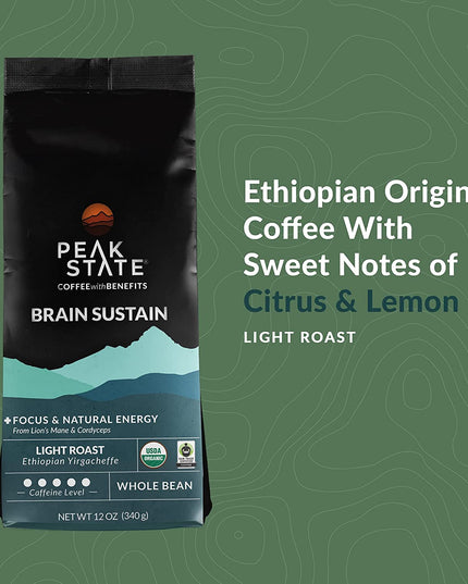 [FM] BRAIN SUSTAIN Light Roast - 5lb