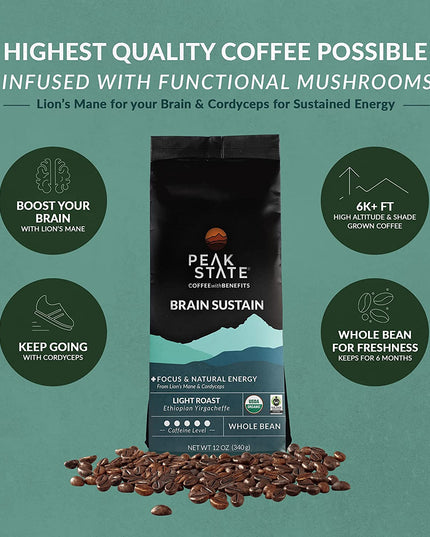[FM] BRAIN SUSTAIN Light Roast - 5lb