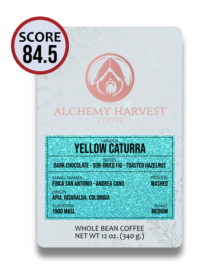 Yellow Caturra - Washed