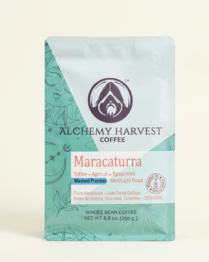 Maracaturra - Washed