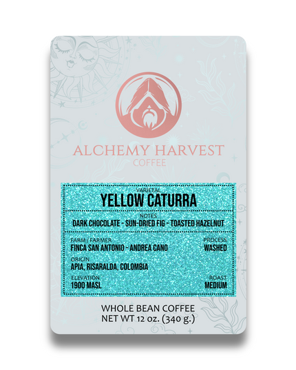 Yellow Caturra - Washed
