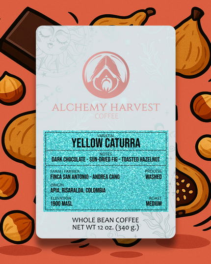 Yellow Caturra - Washed