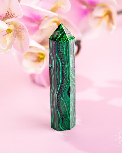 This Changes Everything – Malachite Phoenix Point