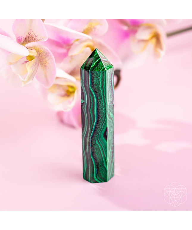 This Changes Everything – Malachite Phoenix Point