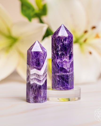 Cycle Breaker - Chevron Amethyst Point of Transformation