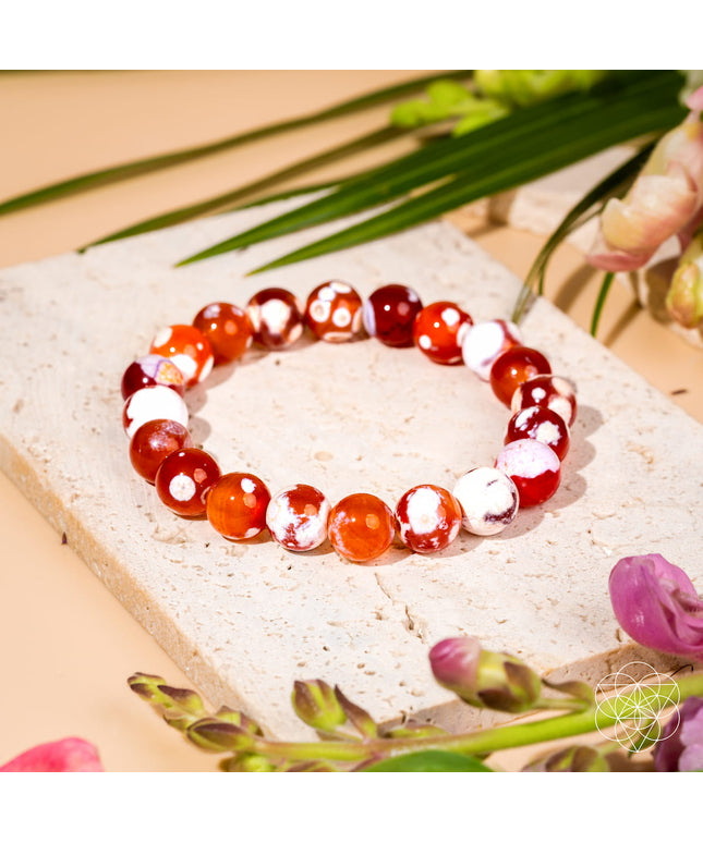 Feminine Force – Carnelian Orca Agate Bracelet