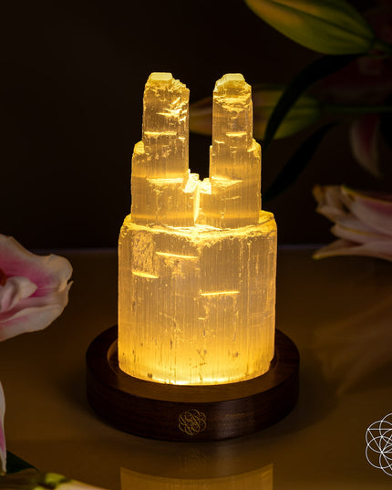 Two-Tower Selenite Lamp – Deep Energy Cleanse & Reset