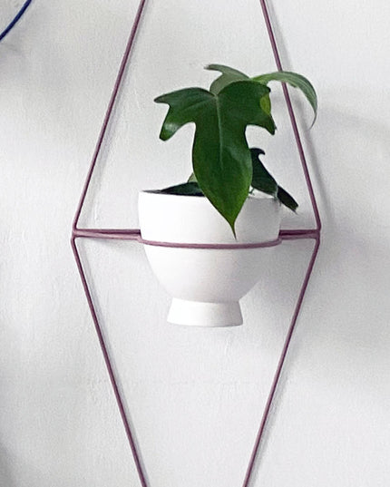 Diamond Eye Wall Planter