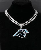 silvery-Carolina Panthers