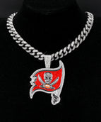 silvery-Tampa Bay Buccaneers