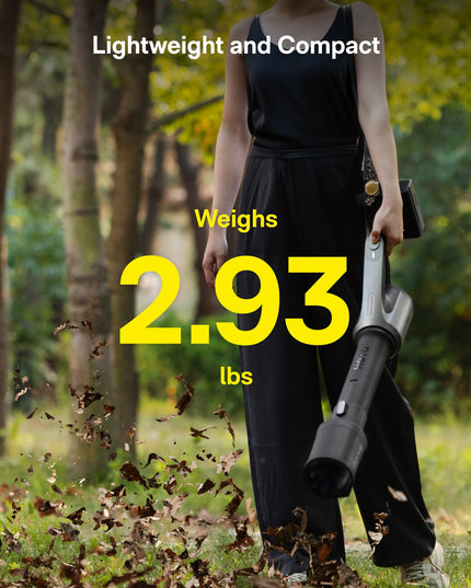 20V Cordless Leaf Blower