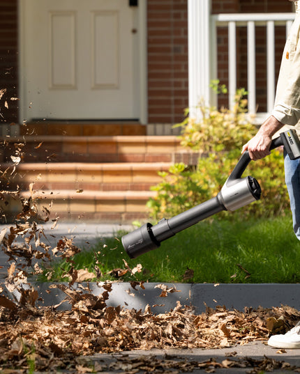 20V Cordless Leaf Blower