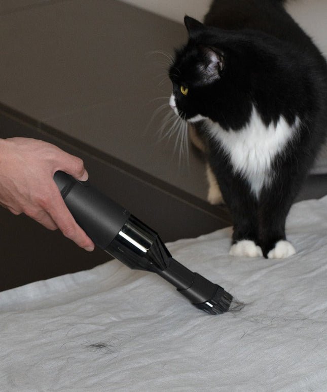 Compressed Air Capsule