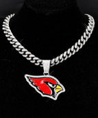 silvery-Arizona Cardinals