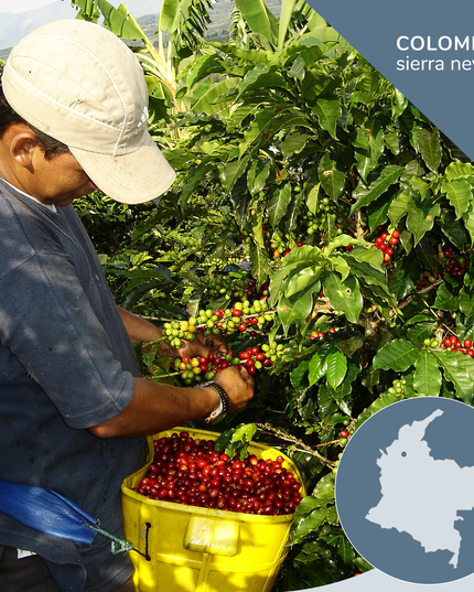 Colombia Supremo Sierra Nevada Coffee, Opaqa Morning Mist