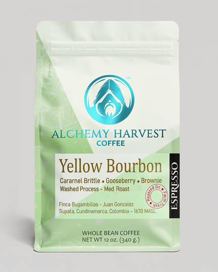 Yellow Bourbon - Washed Espresso
