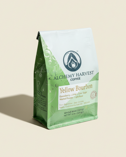 Yellow Bourbon - Washed