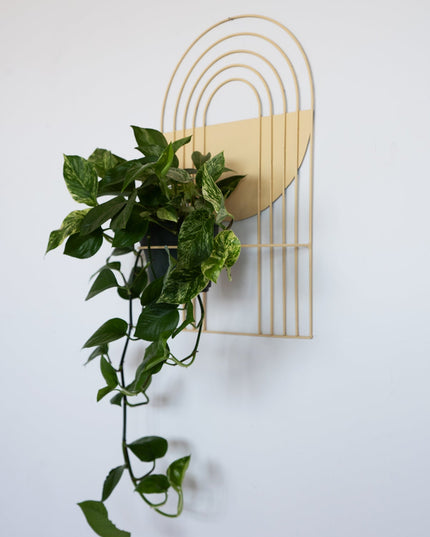 Arches Wall Planter