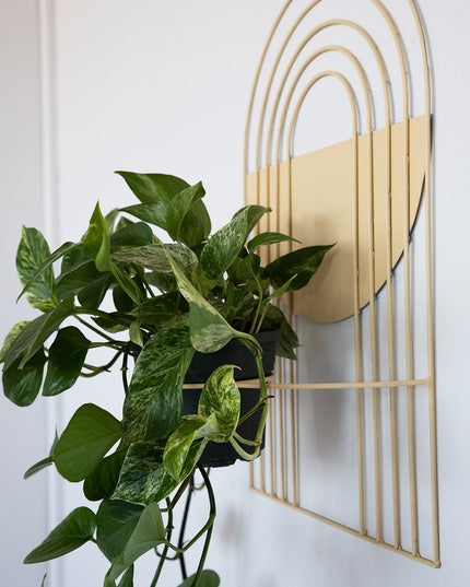 Arches Wall Planter
