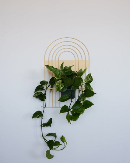 Arches Wall Planter