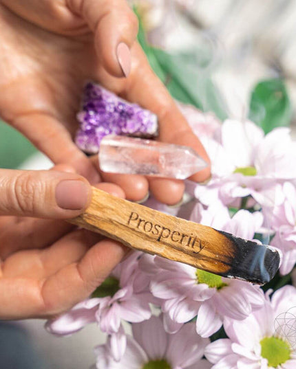 Attract Abundance - Premium Manifestation Smudge Kit (8 Pieces)