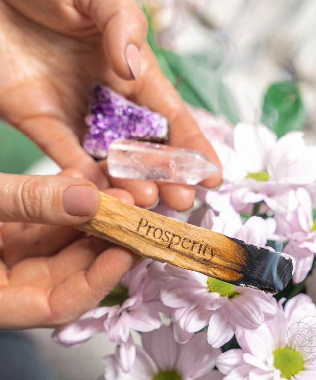 Attract Abundance - Premium Manifestation Smudge Kit (8 Pieces)
