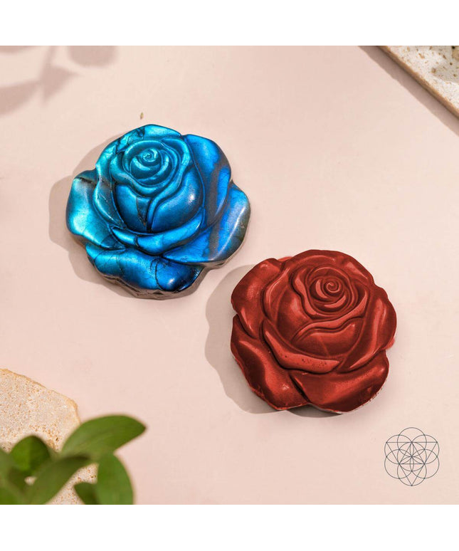 Beautifully Unique - Blossoming Rose of Singularity