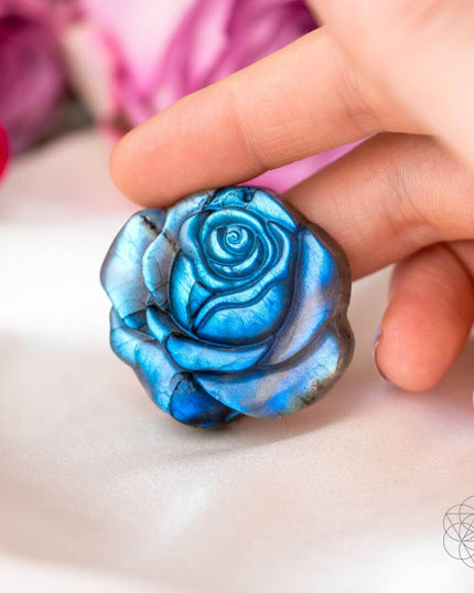 Beautifully Unique - Blossoming Rose of Singularity