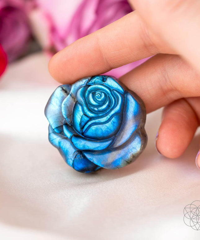 Beautifully Unique - Blossoming Rose of Singularity