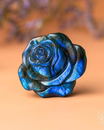 Beautifully Unique - Blossoming Rose of Singularity