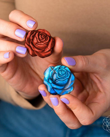 Beautifully Unique - Blossoming Rose of Singularity