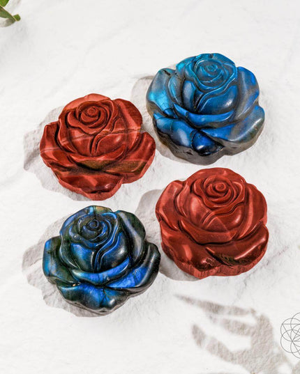 Beautifully Unique - Blossoming Rose of Singularity