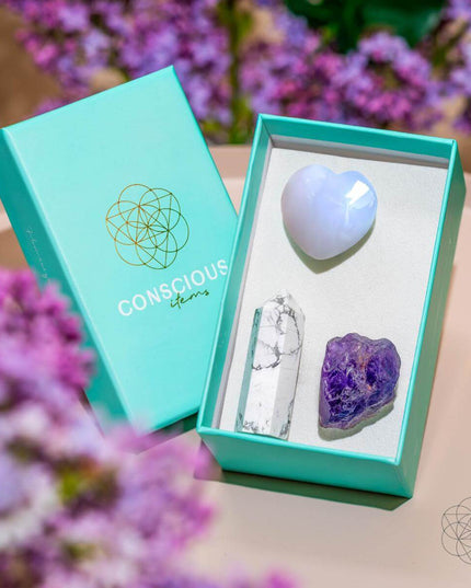 Focused Driver - Crystal Car Kit of Protection