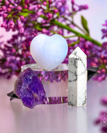 Focused Driver - Crystal Car Kit of Protection