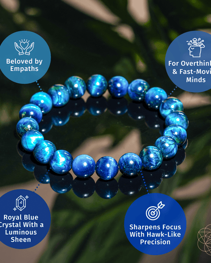 Hawk’s Focus – Royal Blue Tiger’s Eye Bracelet