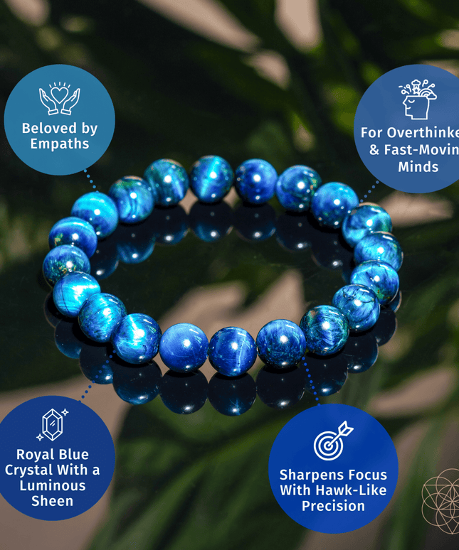 Hawk’s Focus – Royal Blue Tiger’s Eye Bracelet