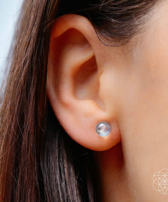 Labradorite Stabilization Earrings