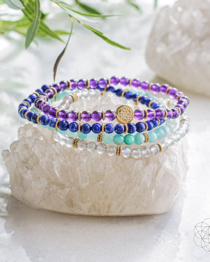 Manifestation Magnet Pack of 4