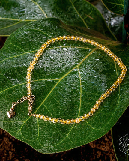 The Abundance Anklet