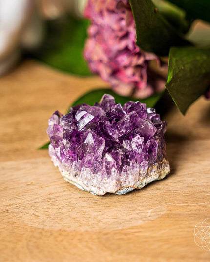 The Natural Intuition Stone
