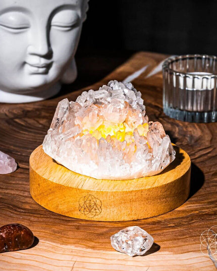 The Purification Lamp