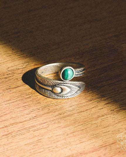 The Ring of Abundance