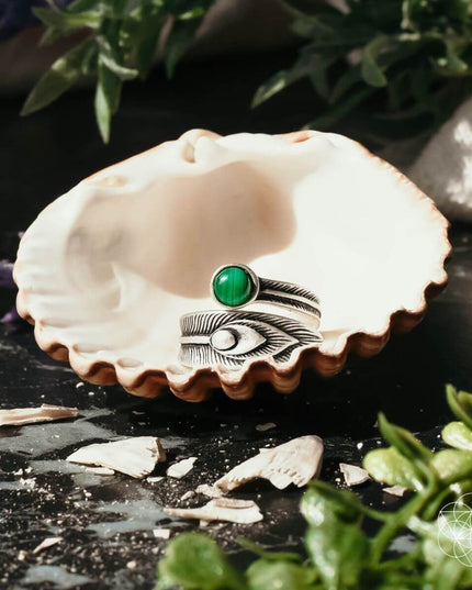 The Ring of Abundance