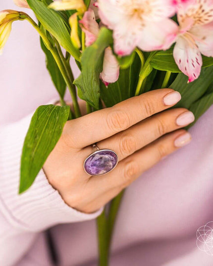 The Visualization Ring