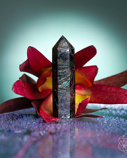 This Is Your Breakthrough – Rare Arfvedsonite Point